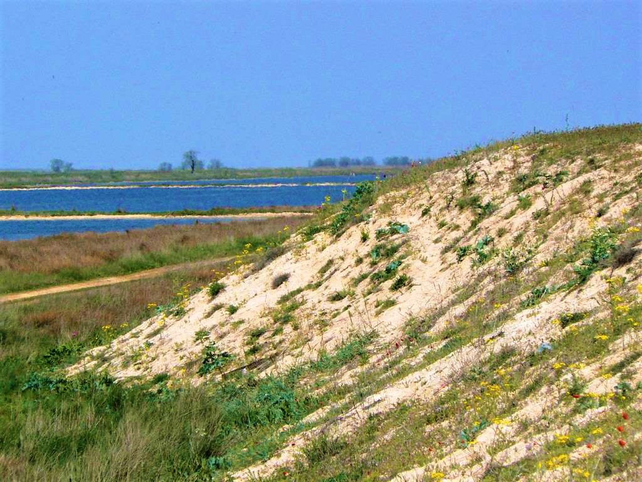 Арабатська Стрілка