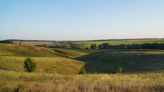 Більське городище, Більськ