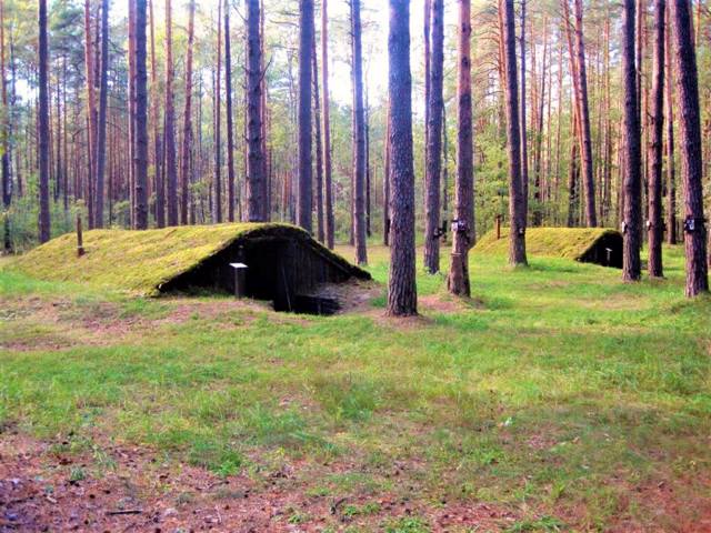 Музей "Лісоград", Єліне