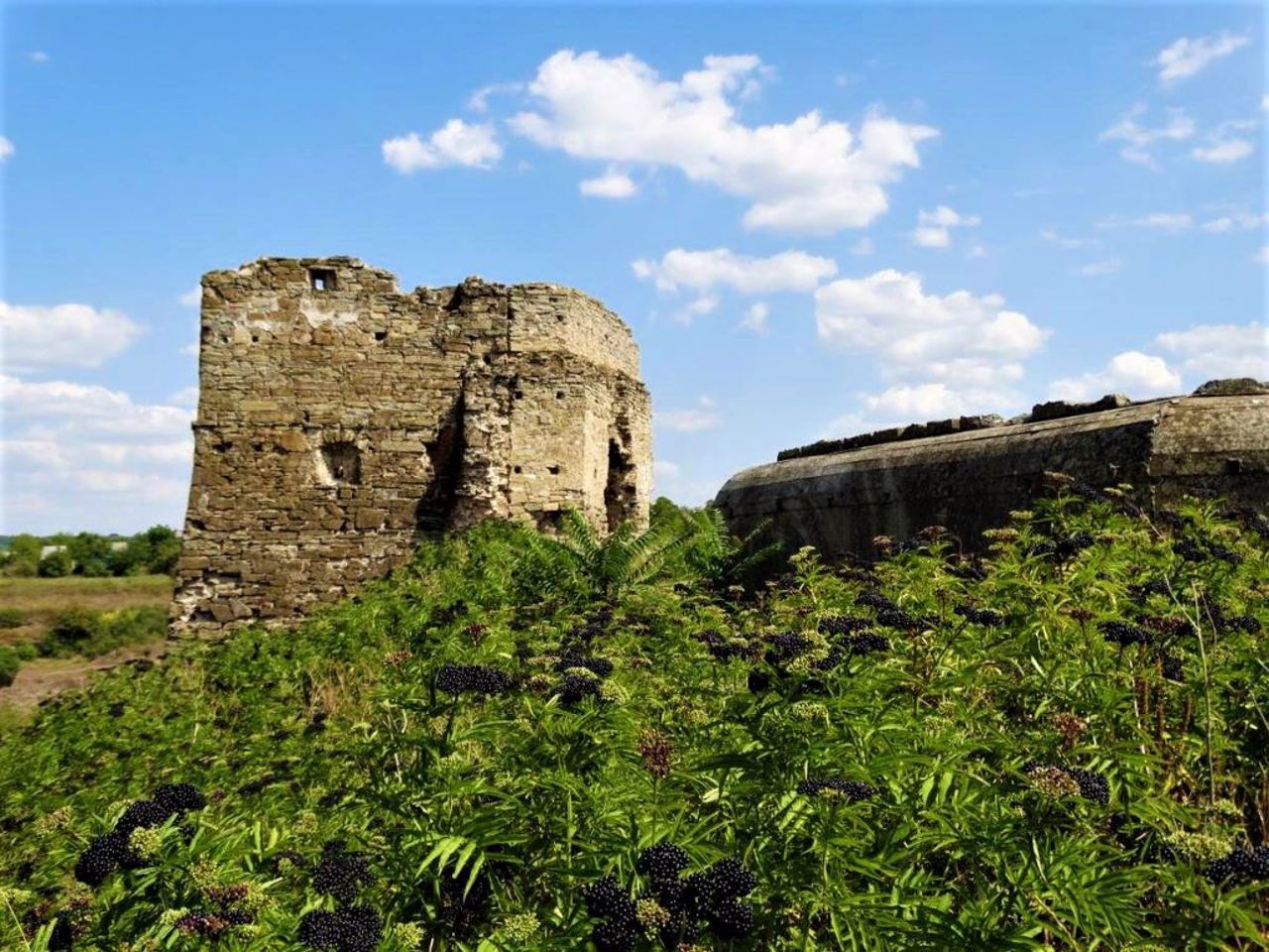 Жванецький замок, Жванець