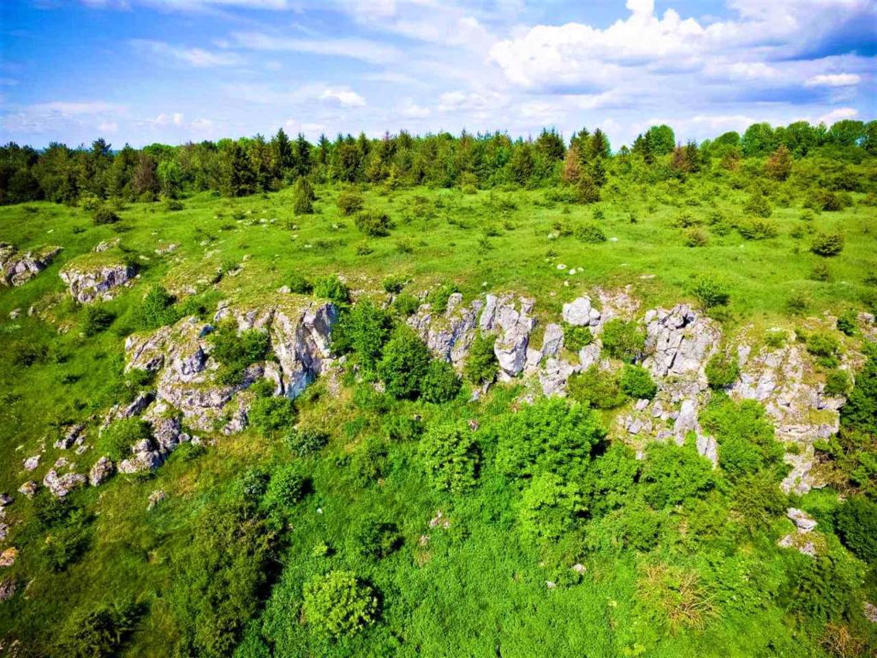 Природний заповідник "Медобори", Гримайлів