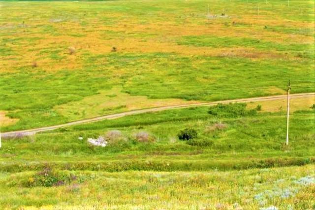 Городище Єні-Дунья, Южне