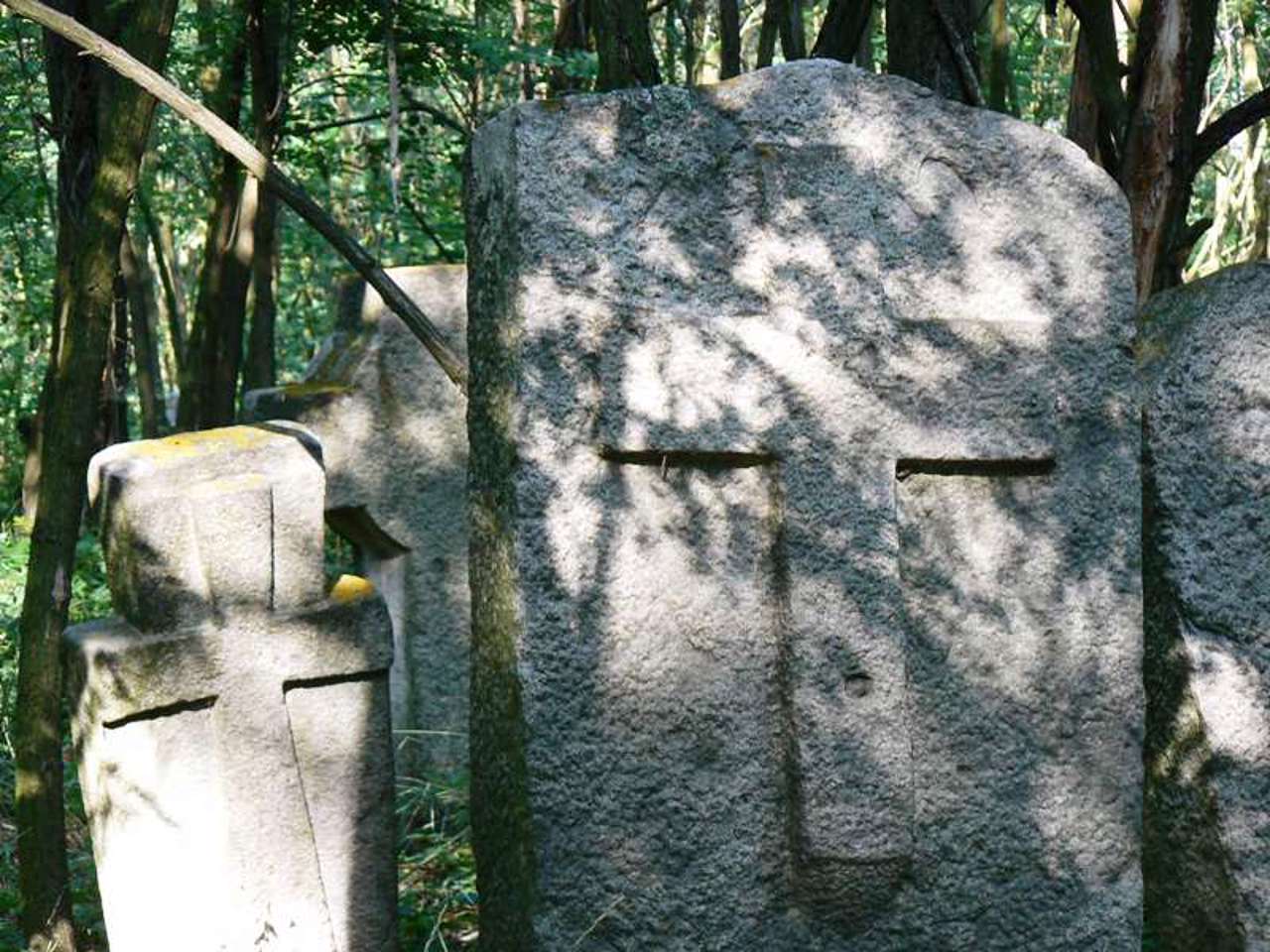 Заповідник "Трахтемирів", Трахтемирів