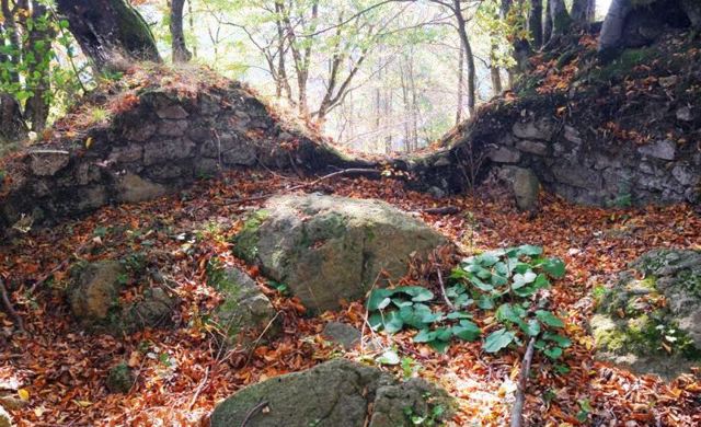 Бронецький замок, Бронька