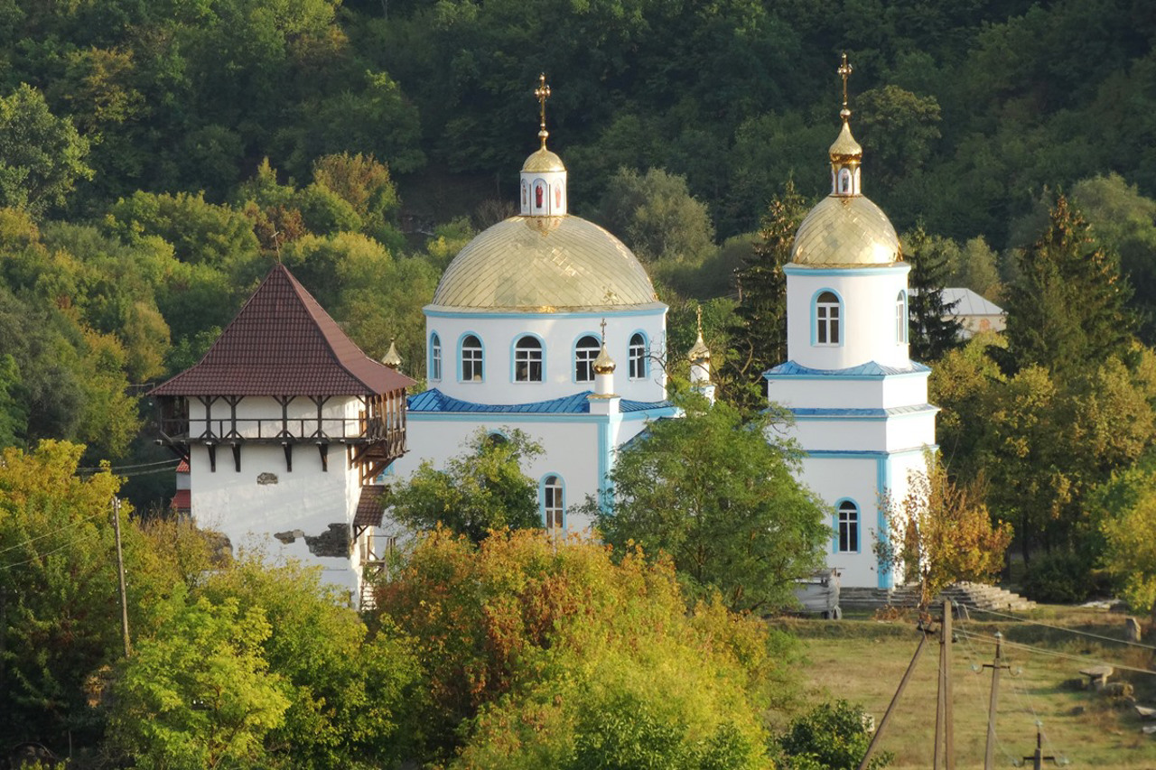 Державний історико-культурний заповідник "Буша"