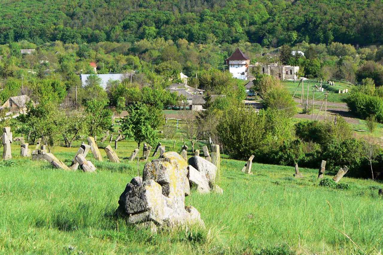 Козацьке кладовище, Буша