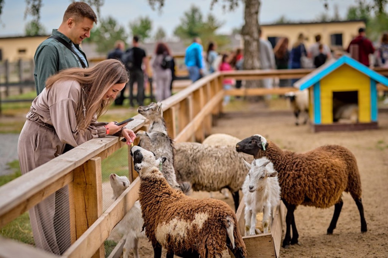 Family Ecopark "Yasnohorodka" (Ostrich Farm "Ostrich Valley")