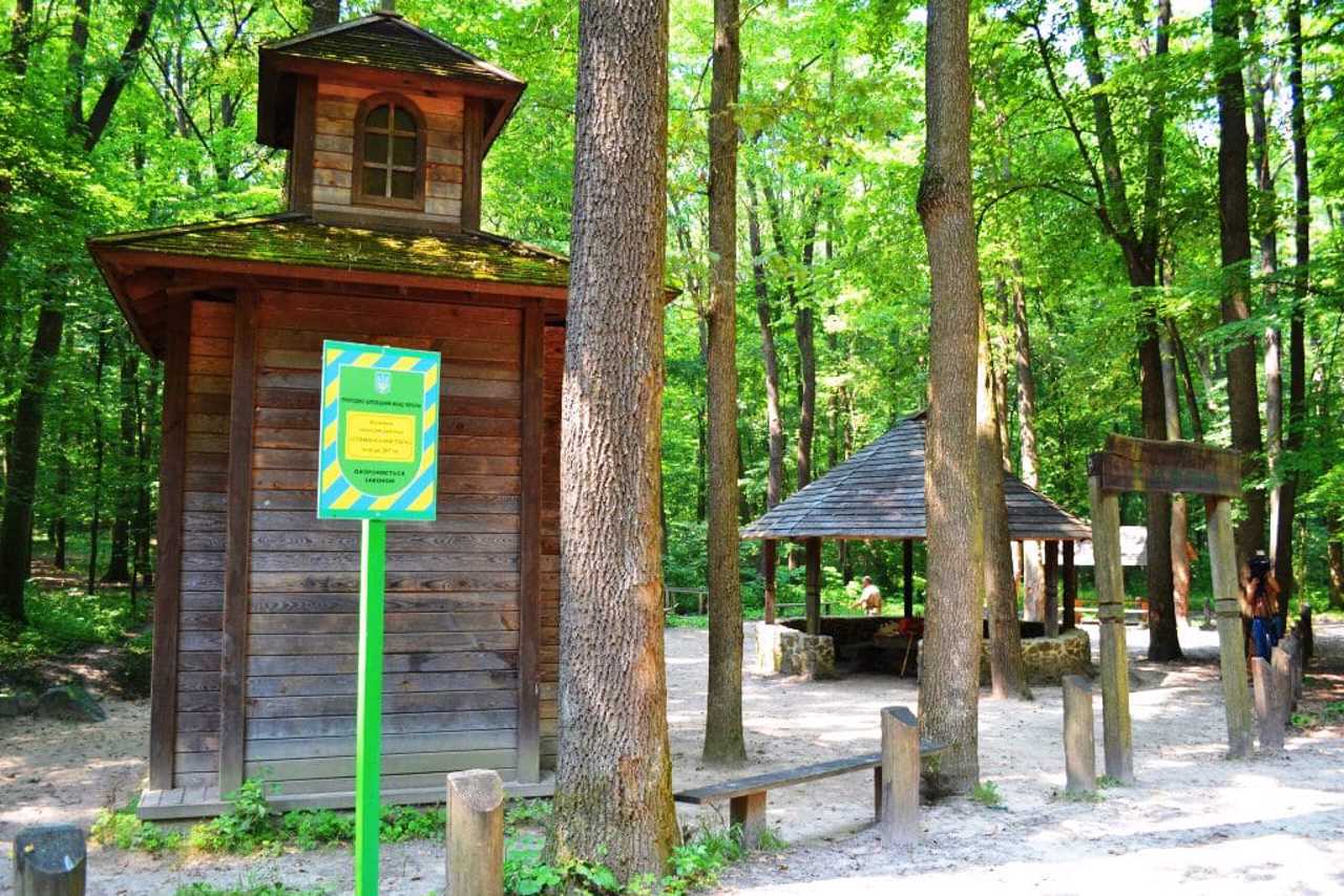 Джерело Живун, Головківка