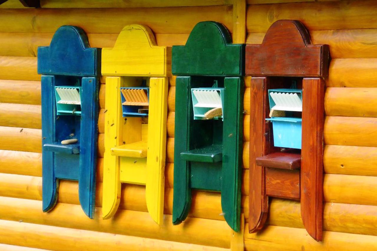 Bee Miracle Houses, Staryi Kosiv