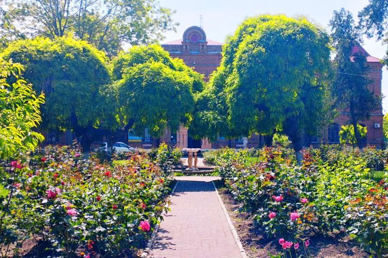 Педагогічний коледж, Білгород-Дністровський