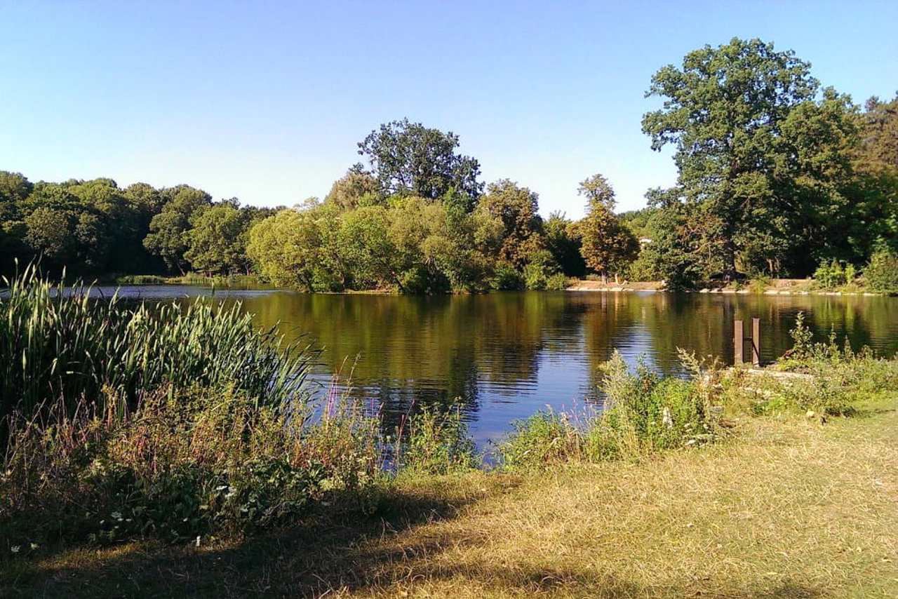 Mykhaylivsky Park, Mykhailivka