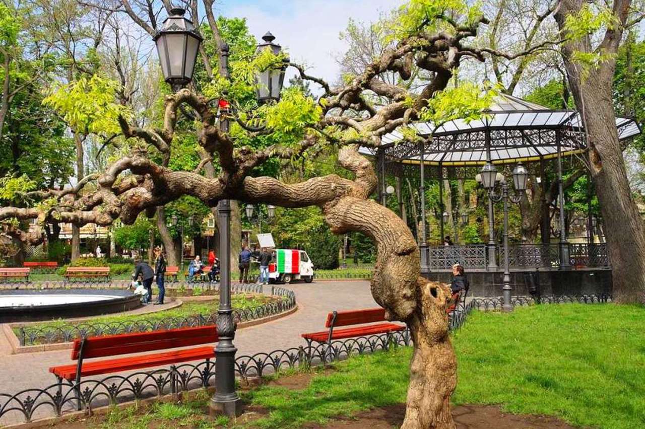 City Garden, Odesa