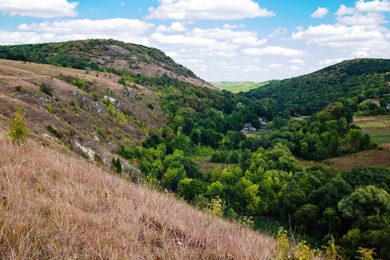 Гора Сокіл, Карачківці