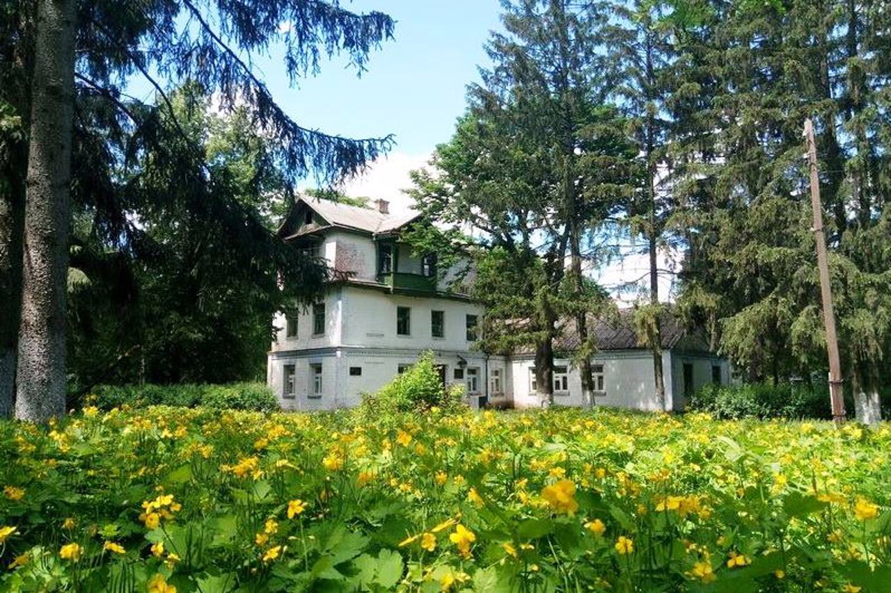 Будинок Ксаверія Ратніка, Борова