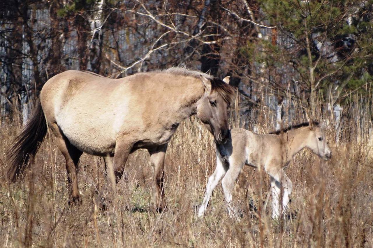 Beremytske Nature Park