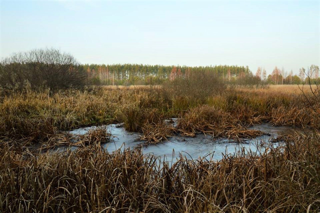 Park "Mizhrichynsky", Otrokhy