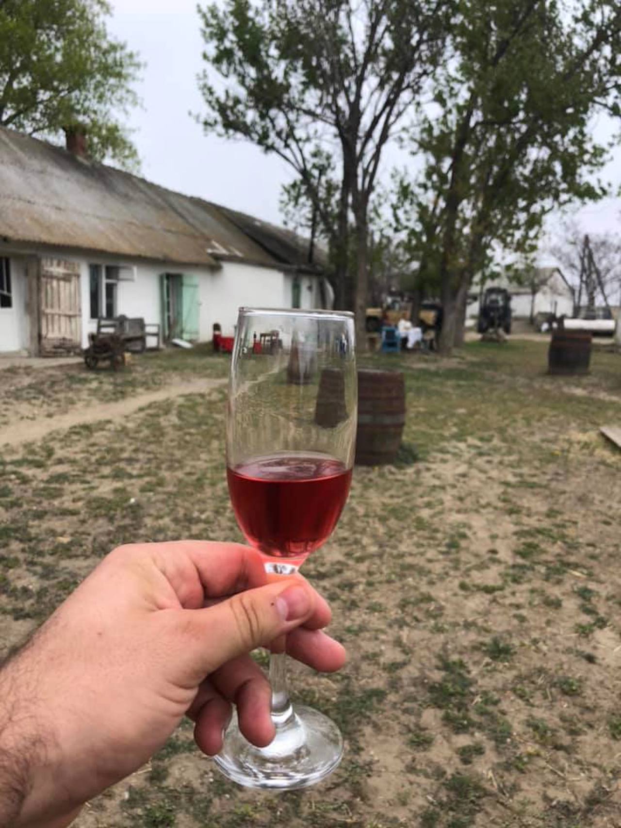 Chateau Lacarin, Shabo