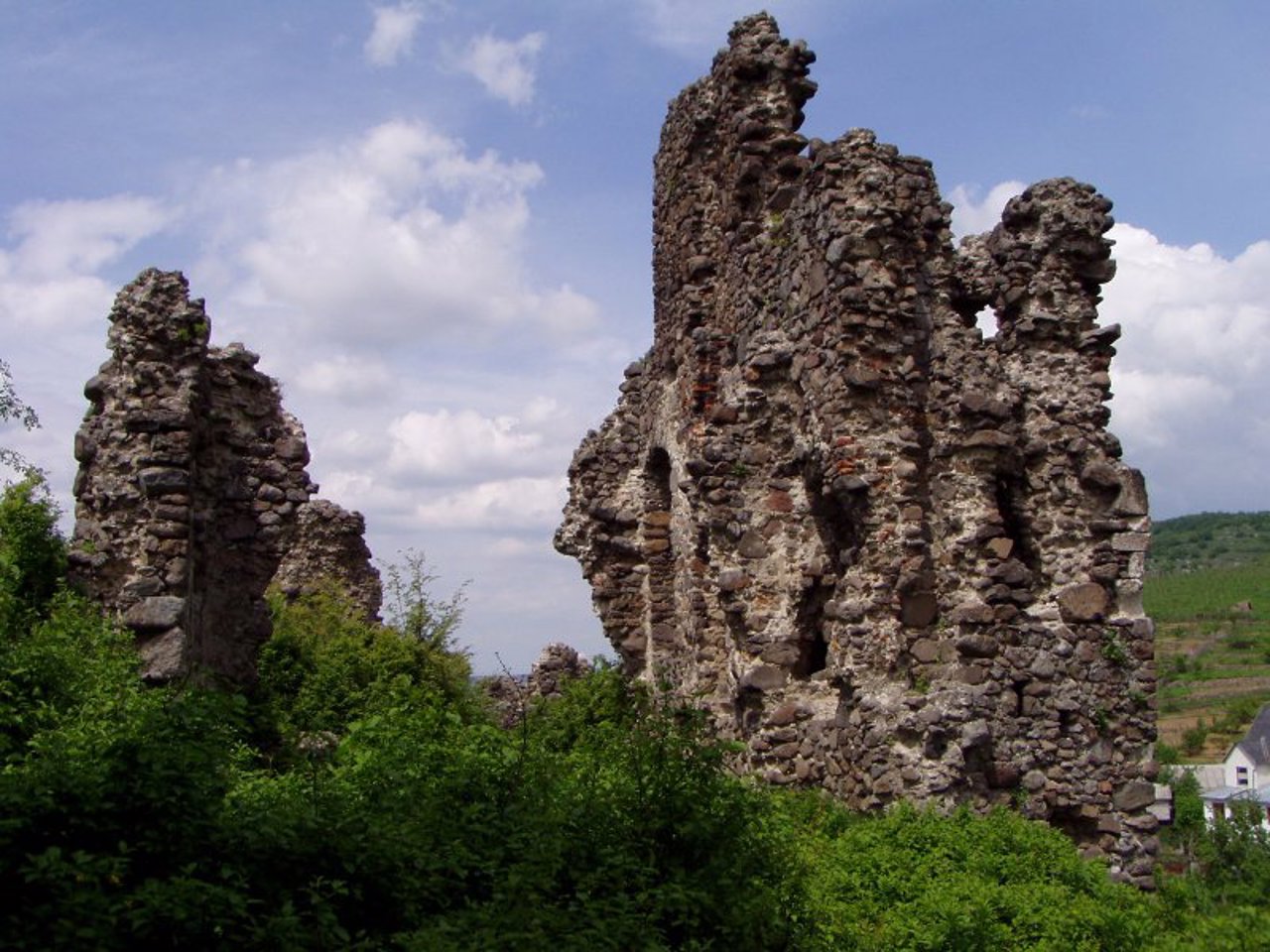 Замок Канків (Угочанський), Виноградів