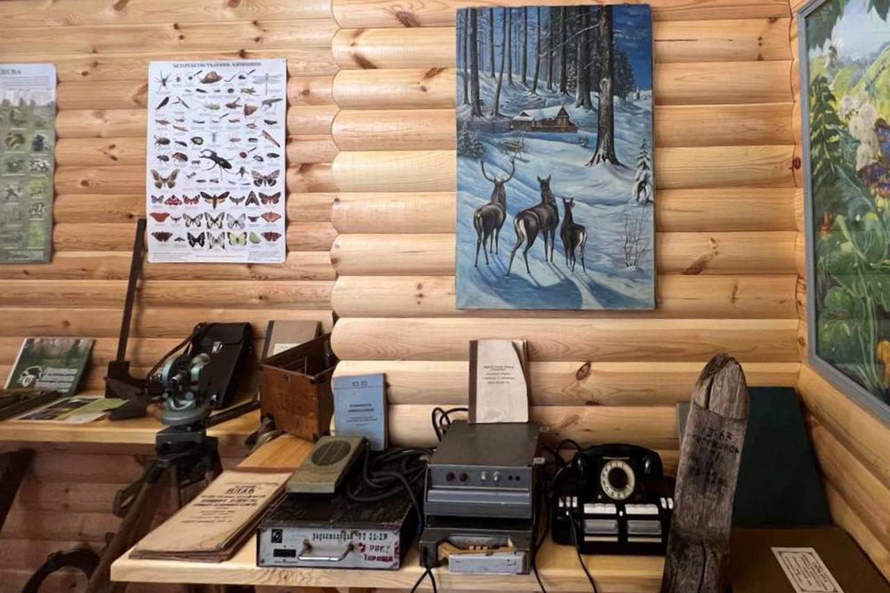 Музей леса, Бровары