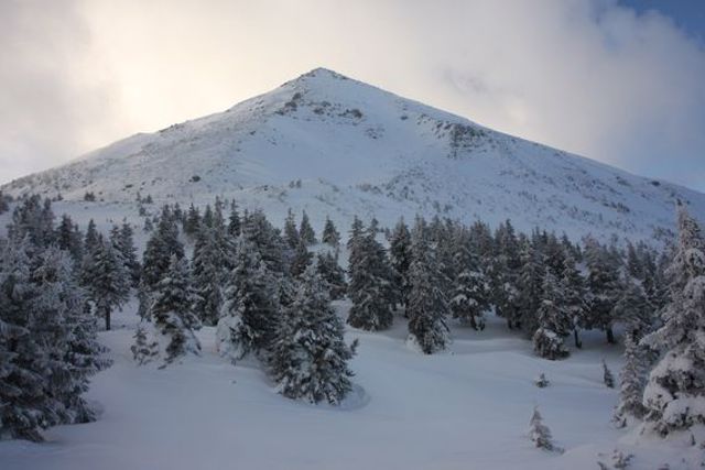 Гора Петрос, Кваси