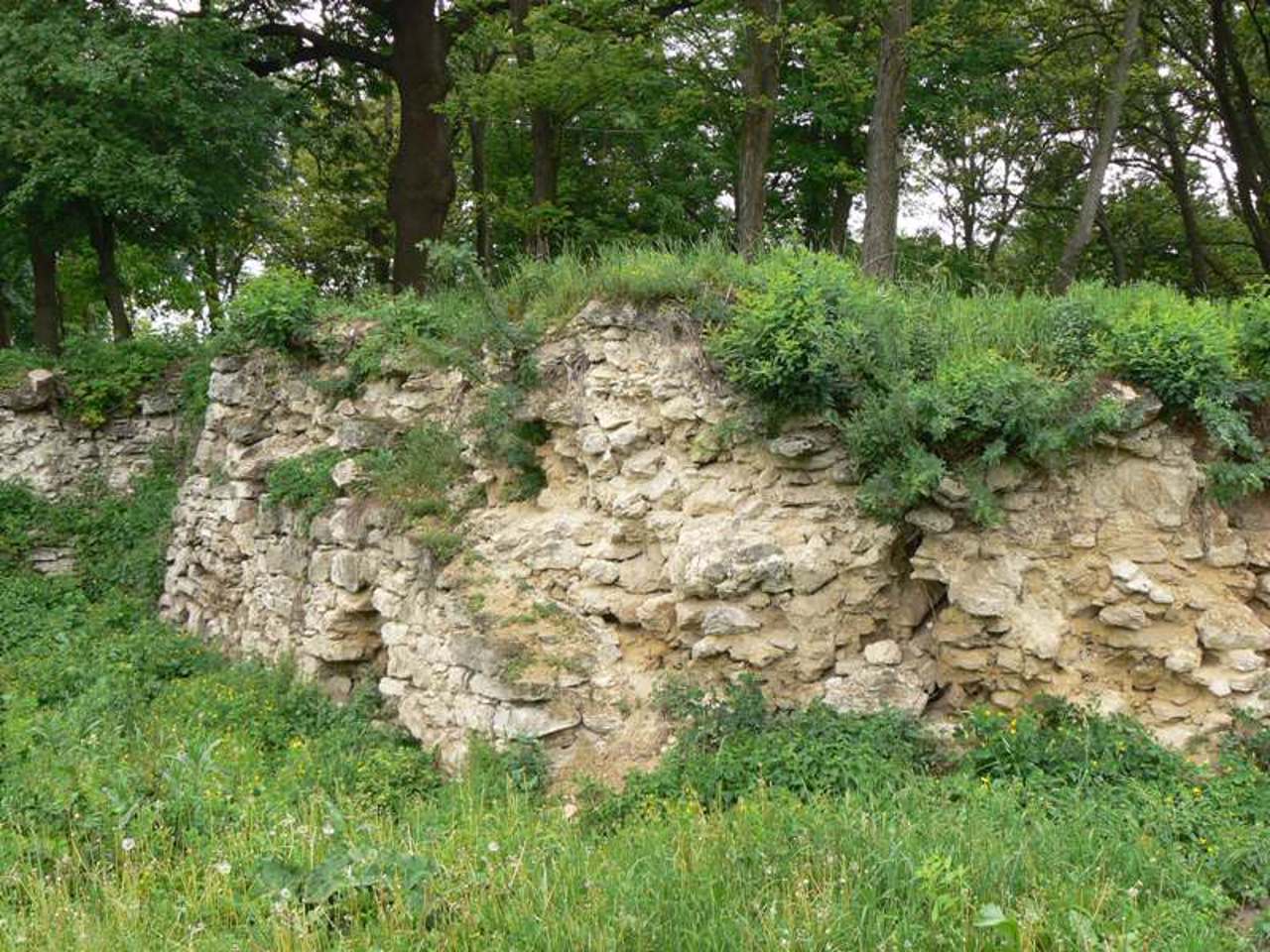 Барский замок, Бар